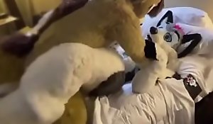 Cute Fursuit bottom moans cutely of top 2